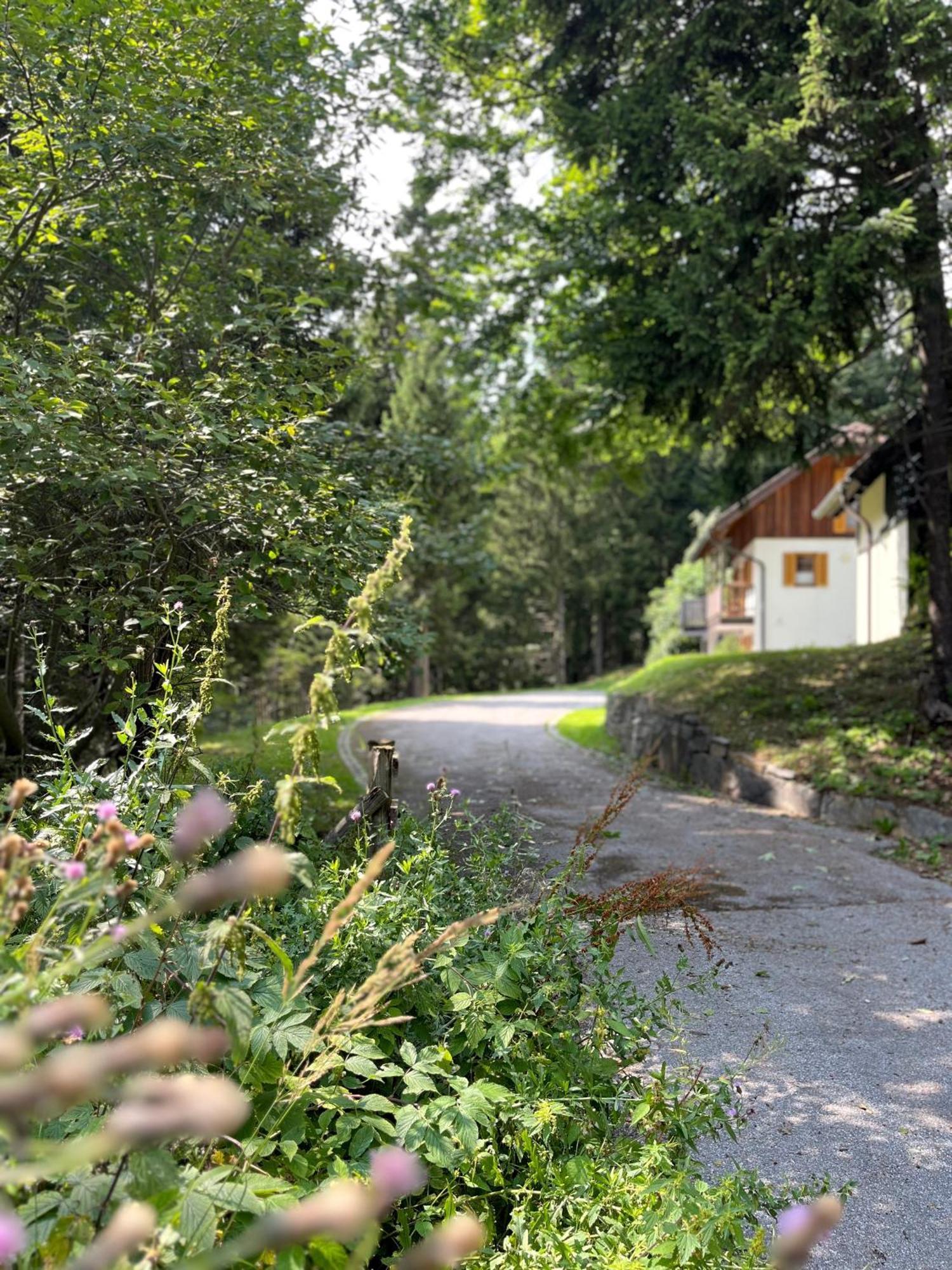 Chalet Harmony Rogla - Apartment Zrece Exterior photo